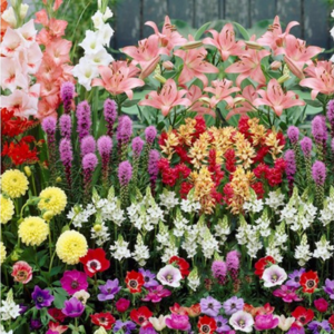 100-Count Bees & Butterfly Flower Blub Collection