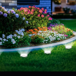 10 Pack Solar Ground Lights