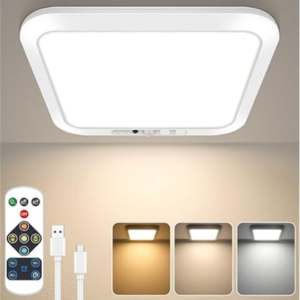Rechargeable Motion Sensor Ceiling Light w/Remote