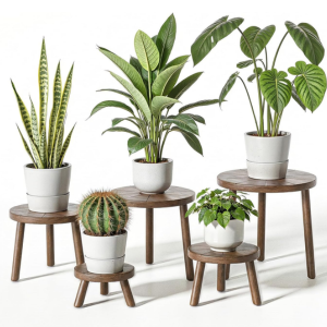 5-Pack Wood Single Plant Stands