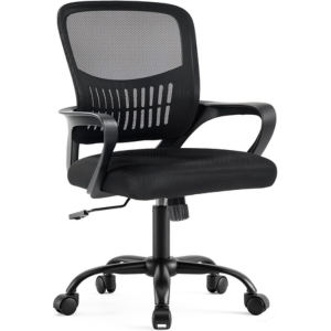 Ergonomic Mid Back Mesh Office Chair w/Lumbar Support