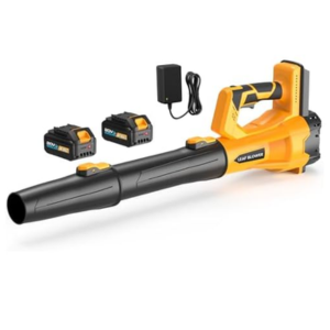 Cordless Leaf Blower w/ 2 Batteries