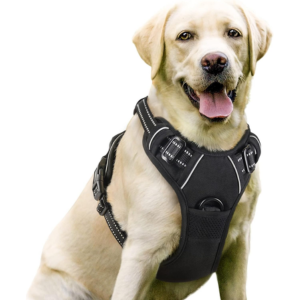 Adjustable Dog Vest Harness
