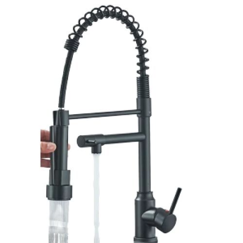 Kitchen Sink Faucet w/Pull Down Sprayer