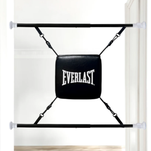 Everlast Doorway Punching Bag