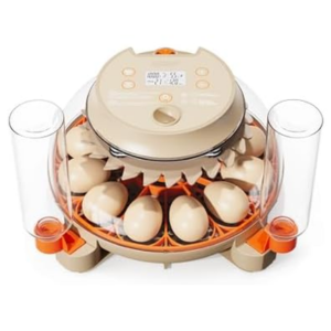Automatic 12-Egg Incubator