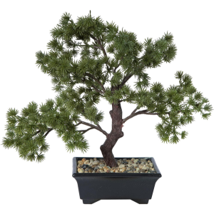 Vickerman 12