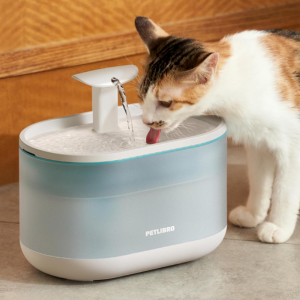 Cat 2.1L Water Fountain