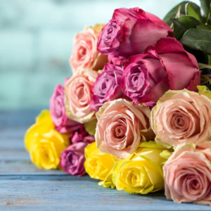 24-Piece Long Stem Rose Bouquet