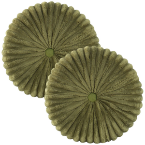 Set of 2 Decorative Velvet Throw Pillows