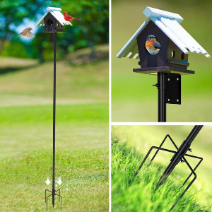 Bird House 80