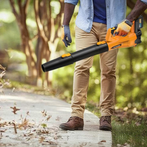 Cordless Leaf Blower w/ 2 Batteries