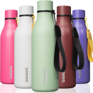 Stainless Steel 18oz Insulated Water Bottle
