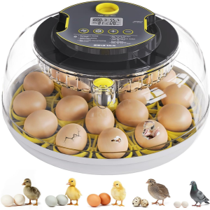 18-Egg Incubator w/Auto Turning, Temperature & Humidity Control