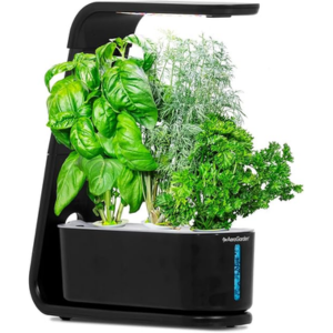 AeroGarden Sprout Indoor Herb Seed Kit w/LED Grow Light