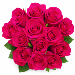 Valentine’s Day Assorted Dozen Roses