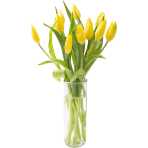 Fresh Bouquet 10 Yellow Tulips w/Vase