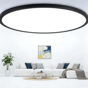 LED Flush Mount 20