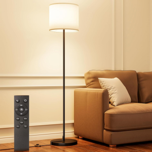 Dimmable LED Floor Lamp w/Remote