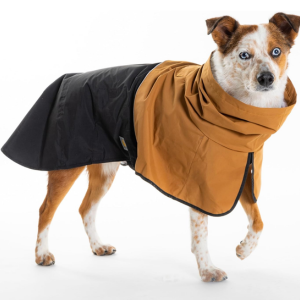 Carhartt Adjustable Dog Rain Jacket